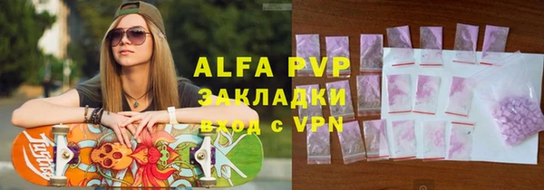 стаф Богданович
