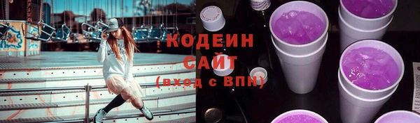 стаф Богданович