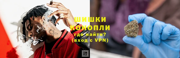 стаф Богданович