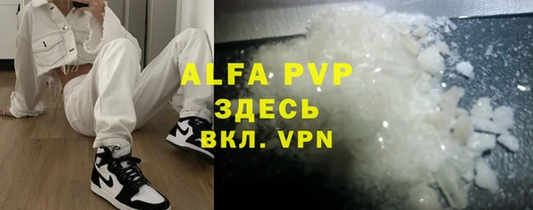 стаф Богданович