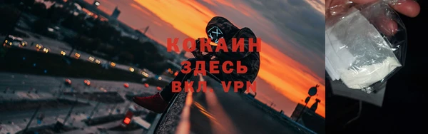 стаф Богданович
