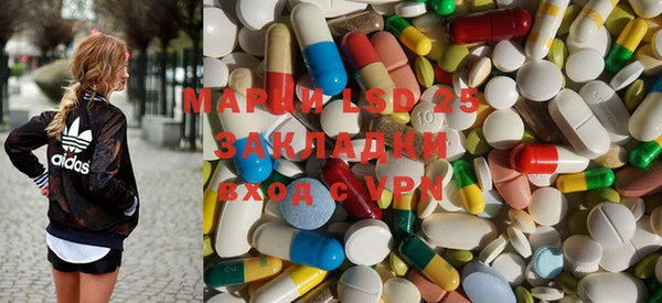 стаф Богданович