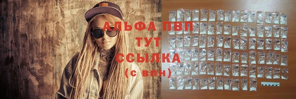 стаф Богданович